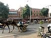 PB101565.jpg