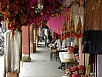 PB101655.jpg