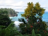 Port Antonio - along the coast
