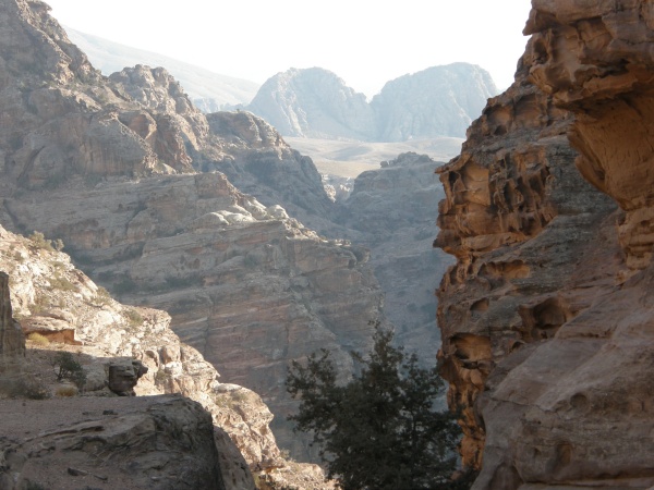 PA310433.jpg