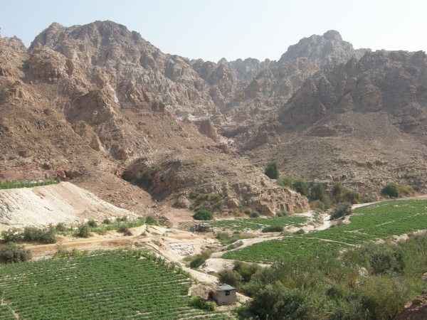 PB010476.jpg