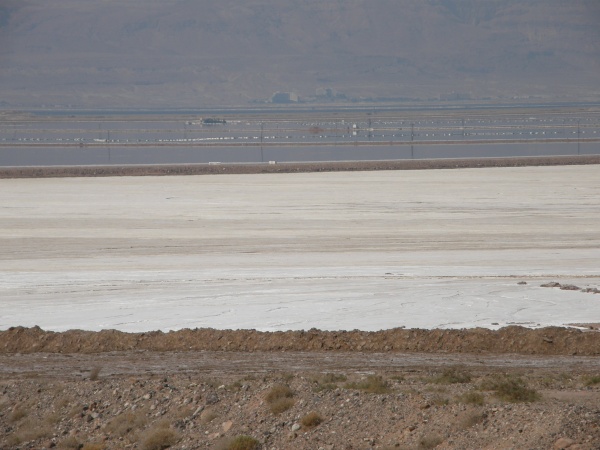 PB010481.jpg