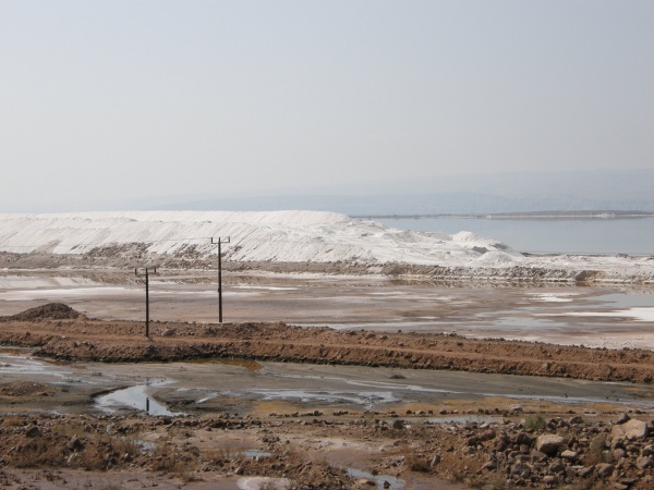 PB010482.jpg