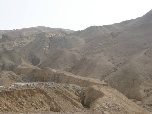 PB010486.jpg