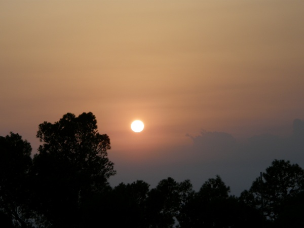 PB010592.jpg