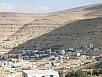 PA310309.jpg