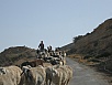 PB010458.jpg