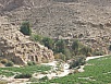unerwartet eine Oase (Wadi)