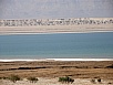 PB010495.jpg