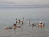 PB010557.jpg