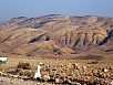 PB010574.jpg