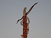 PB010578.jpg