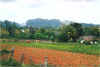 Vinales - Pinar del Rio