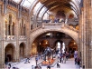 Dinosaur at the Entrance Hallo of the Natural History Museum