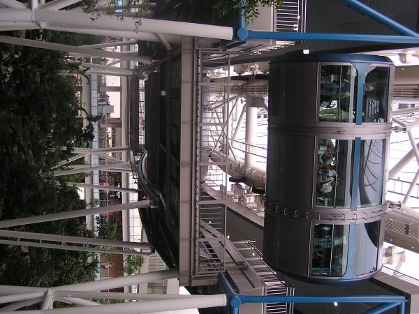 P1010016.jpg