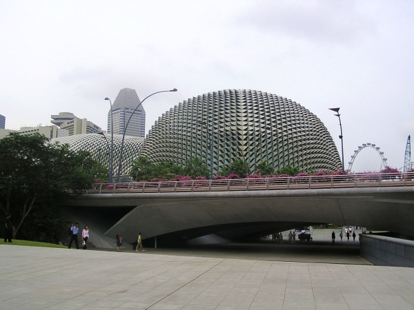 P1010019.jpg