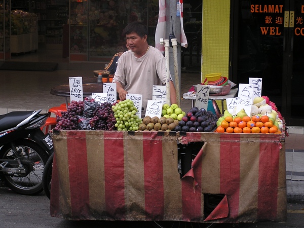 P1010197.jpg