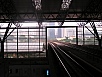 P1010180.jpg