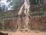 Ta Prohm