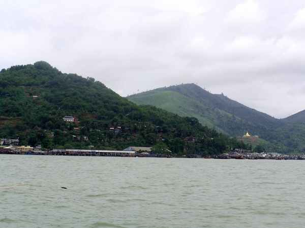 P1010385.jpg