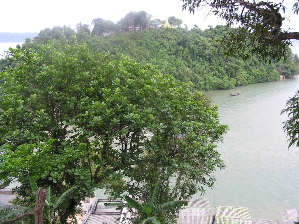 P1010426.jpg