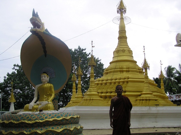P1010429.jpg