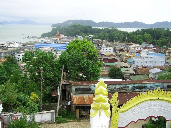 P1010432.jpg
