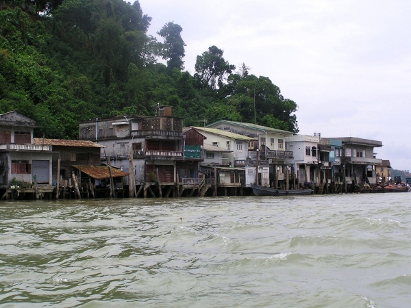 P1010453.jpg