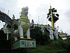 P1010414.jpg