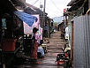 P1010437.jpg