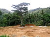 P1010441.jpg
