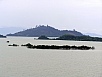 P1010447.jpg