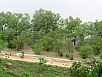 P1010448.jpg