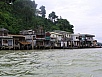 P1010453.jpg