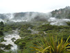 Te Whakarewarewa - Mud Pools, Geysers