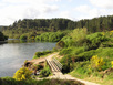 Waikato River