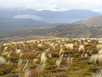 Tongariro Crossing