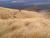 Tongariro Crossing