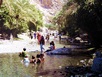 A Thowarah Spring