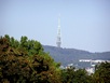 TV Tower Kamzik HIll
