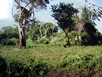 3. Tag - Fahrt nach Anuradhapura