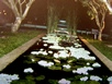Im Hotel Sigiriya Village