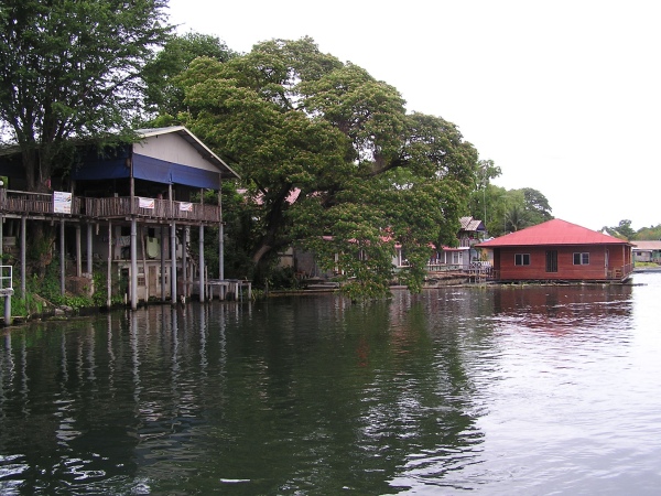 P1010086.jpg