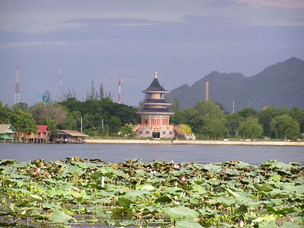P1010144.jpg