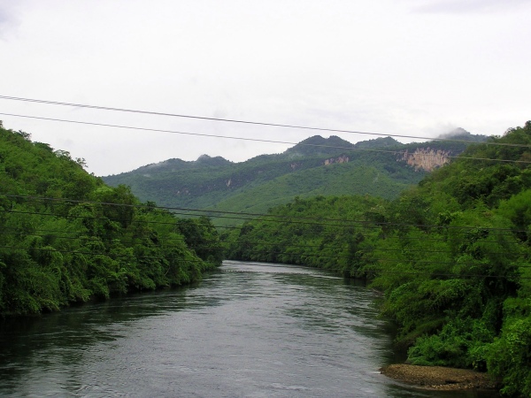 P1010154.jpg