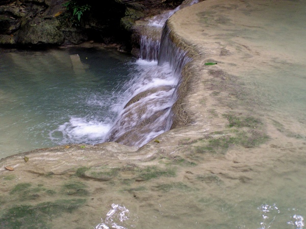 P1010165.jpg