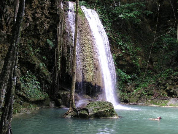 P1010177.jpg