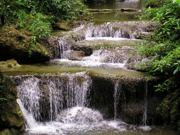 P1010181.jpg