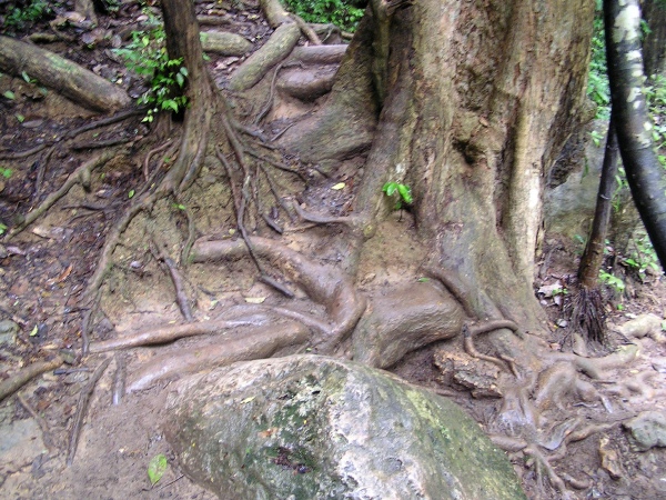 P1010184.jpg