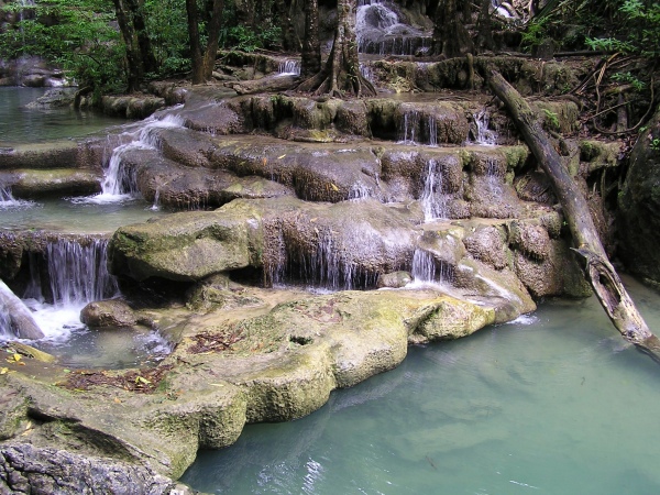 P1010187.jpg